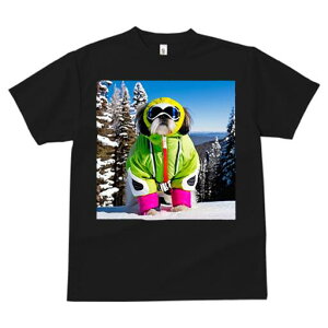 V[Y[ TVc  j[NfUCfB[X t@  t vg JWA 킢 lԗp Mtg I XL[EFA V[Y[ R XL[S[O