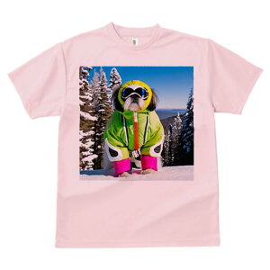 V[Y[ TVc  j[NfUCY LbY t@  t vg JWA 킢 lԗp Mtg I XL[EFA V[Y[ R XL[S[O