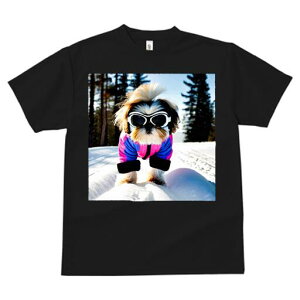 V[Y[ TVc  j[NfUCfB[X t@  t vg JWA 킢 lԗp Mtg I TOX V[Y[ XL[EFA  ~