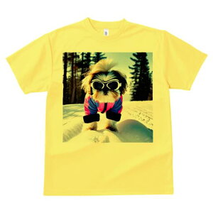 V[Y[ TVc  j[NfUCY LbY t@  t vg JWA 킢 lԗp Mtg I TOX V[Y[ XL[EFA  ~