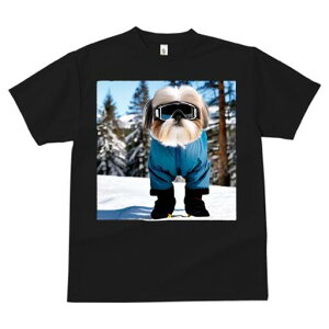 V[Y[ TVc  j[NfUCY LbY t@  t vg JWA 킢 lԗp Mtg I XL[EFA V[Y[ R XL[S[O