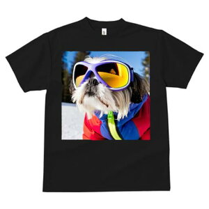 V[Y[ TVc  j[NfUCfB[X t@  t vg JWA 킢 lԗp Mtg I XL[EFA V[Y[ XL[S[O