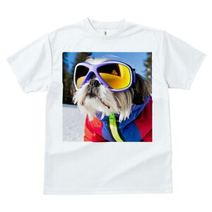 V[Y[ TVc  j[NfUCfB[X t@  t vg JWA 킢 lԗp Mtg I XL[EFA V[Y[ XL[S[O