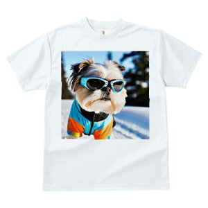 V[Y[ TVc  j[NfUCfB[X t@  t vg JWA 킢 lԗp Mtg I TOX V[Y[ XL[EFA 