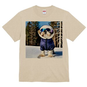 V[Y[ TVc  j[NfUCY LbY t@  t vg JWA 킢 lԗp Mtg I XL[EFA V[Y[ XL[S[O 