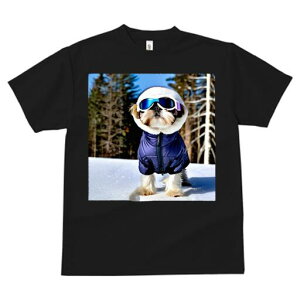 V[Y[ TVc  j[NfUCfB[X t@  t vg JWA 킢 lԗp Mtg I XL[EFA V[Y[ XL[S[O 