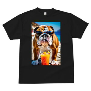 uhbO TVc  j[NfUCfB[X t@  t vg JWA 킢 lԗp Mtg I TOX uhbO JNe r[`