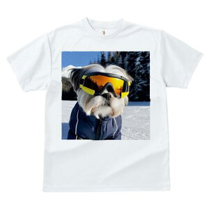 V[Y[ TVc  j[NfUCfB[X t@  t vg JWA 킢 lԗp Mtg I XL[ V[Y[ ~  XL[EFA