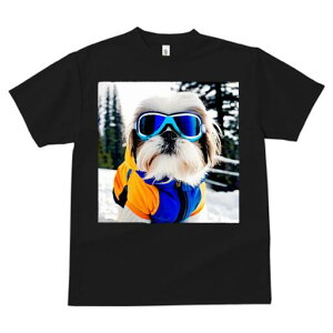 V[Y[ TVc  j[NfUCY LbY t@  t vg JWA 킢 lԗp Mtg I XL[EFA V[Y[ XL[S[O 