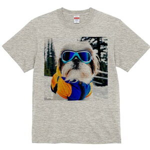 V[Y[ TVc  j[NfUCY LbY t@  t vg JWA 킢 lԗp Mtg I XL[EFA V[Y[ XL[S[O 