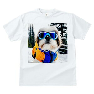 V[Y[ TVc  j[NfUCfB[X t@  t vg JWA 킢 lԗp Mtg I XL[EFA V[Y[ XL[S[O 