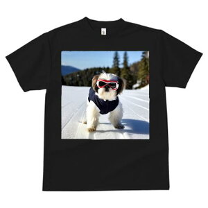 V[Y[ TVc  j[NfUCfB[X t@  t vg JWA 킢 lԗp Mtg I XL[ V[Y[  ~ R XL[EFA