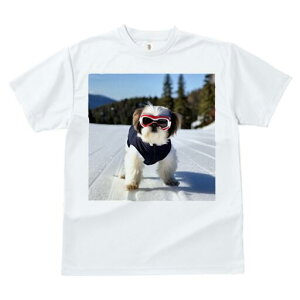 V[Y[ TVc  j[NfUCfB[X t@  t vg JWA 킢 lԗp Mtg I XL[ V[Y[  ~ R XL[EFA