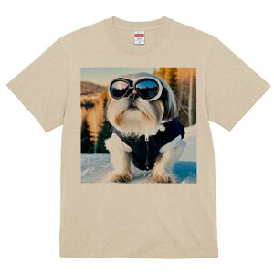 V[Y[ TVc  j[NfUCY LbY t@  t vg JWA 킢 lԗp Mtg I TOX V[Y[ XL[EFA  ~