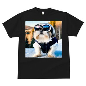 V[Y[ TVc  j[NfUCY LbY t@  t vg JWA 킢 lԗp Mtg I TOX V[Y[ XL[EFA  ~