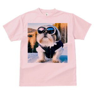 V[Y[ TVc  j[NfUCY LbY t@  t vg JWA 킢 lԗp Mtg I TOX V[Y[ XL[EFA  ~