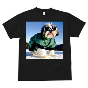 V[Y[ TVc  j[NfUCY LbY t@  t vg JWA 킢 lԗp Mtg I  V[Y[ XL[EFA S[O ~