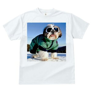 V[Y[ TVc  j[NfUCfB[X t@  t vg JWA 킢 lԗp Mtg I  V[Y[ XL[EFA S[O ~