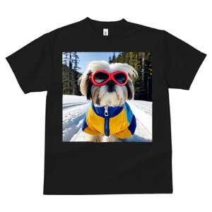 V[Y[ TVc  j[NfUCfB[X t@  t vg JWA 킢 lԗp Mtg I TOX V[Y[  ~ XL[EFA