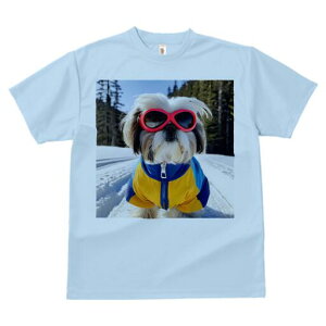 V[Y[ TVc  j[NfUCY LbY t@  t vg JWA 킢 lԗp Mtg I TOX V[Y[  ~ XL[EFA