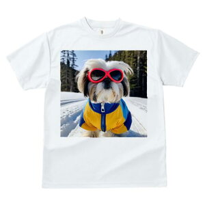 V[Y[ TVc  j[NfUCfB[X t@  t vg JWA 킢 lԗp Mtg I TOX V[Y[  ~ XL[EFA