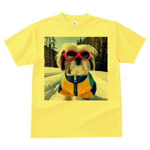 V[Y[ TVc  j[NfUCY LbY t@  t vg JWA 킢 lԗp Mtg I TOX V[Y[  ~ XL[EFA