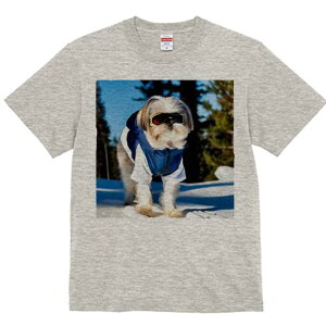 V[Y[ TVc  j[NfUCY LbY t@  t vg JWA 킢 lԗp Mtg I XL[EFA V[Y[  ~ XL[S[O