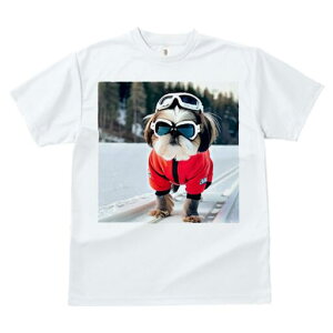 V[Y[ TVc  j[NfUCfB[X t@  t vg JWA 킢 lԗp Mtg I XL[ V[Y[ ~  XL[EFA