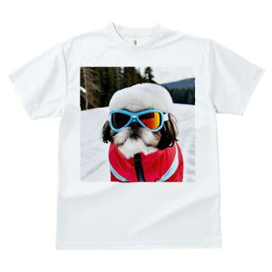 V[Y[ TVc  j[NfUCfB[X t@  t vg JWA 킢 lԗp Mtg I XL[EFA V[Y[ XL[S[O R ~