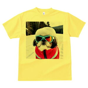 V[Y[ TVc  j[NfUCY LbY t@  t vg JWA 킢 lԗp Mtg I XL[EFA V[Y[ XL[S[O R ~