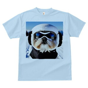 V[Y[ TVc  j[NfUCY LbY t@  t vg JWA 킢 lԗp Mtg I XL[ V[Y[ XL[EFA S[O R