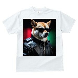 Č TVc  j[NfUCfB[X t@  t vg JWA 킢 lԗp Mtg I TOX Č U[WPbg