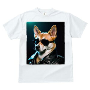 Č TVc  j[NfUCfB[X t@  t vg JWA 킢 lԗp Mtg I TOX Č vW