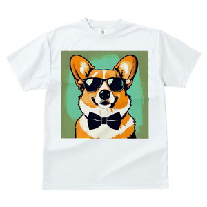 R[M[ TVc  j[NfUCfB[X t@  t vg JWA 킢 lԗp Mtg I TOX R[M[ lN^C