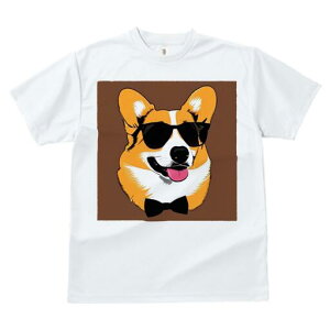 R[M[ TVc  j[NfUCfB[X t@  t vg JWA 킢 lԗp Mtg I TOX R[M[ lN^C