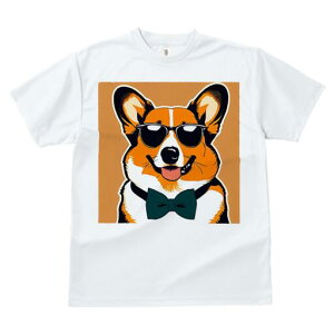 R[M[ TVc  j[NfUCfB[X t@  t vg JWA 킢 lԗp Mtg I TOX R[M[ lN^C