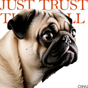 �p�O �N�b�V�����J�o�[ 45×45cm �A�j�}���� ������� ���� �N�b�V�����{�̕t�� �����`