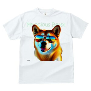 Č TVc  j[NfUCfB[X t@  t vg JWA 킢 lԗp Mtg I TOX Č N[  r[` ][g