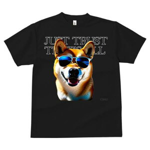 Č TVc  j[NfUCfB[X t@  t vg JWA 킢 lԗp Mtg I TOX Č