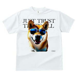 Č TVc  j[NfUCfB[X t@  t vg JWA 킢 lԗp Mtg I TOX Č