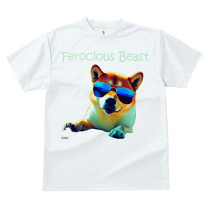 Č TVc  j[NfUCfB[X t@  t vg JWA 킢 lԗp Mtg I TOX Č