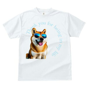 Č TVc  j[NfUCfB[X t@  t vg JWA 킢 lԗp Mtg I TOX Č