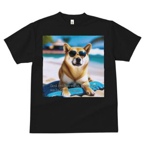 Č TVc  j[NfUCfB[X t@  t vg JWA 킢 lԗp Mtg I TOX Č r[` 