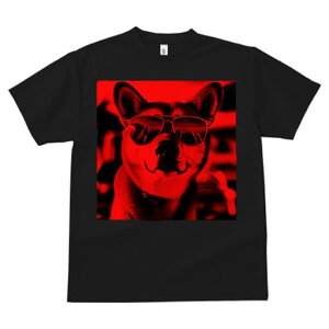 Č TVc  j[NfUCfB[X t@  t vg JWA 킢 lԗp Mtg I TOX Č