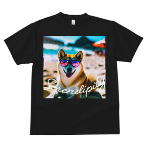 Č TVc  j[NfUCfB[X t@  t vg JWA 킢 lԗp Mtg I TOX Č r[`