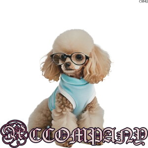 Kl gCv[h  NbVJo[ 45×45cm Aj}   NbV{̕t `