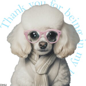 Kl v[h XJ[t NbVJo[ 45×45cm Aj}   NbV{̕t `