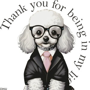 X[c v[h lN^C Kl NbVJo[ 45×45cm Aj}   NbV{̕t `