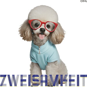 Kl gCv[h  NbVJo[ 45×45cm Aj}   NbV{̕t `