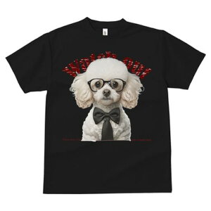 v[h TVc  j[NfUCY LbY t@  t vg JWA 킢 lԗp Mtg I lN^C v[h lN^C Kl